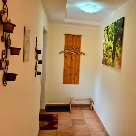 Ferienwohnung Im Landhaus Am Nationalpark Ludwigsthal Exterior foto