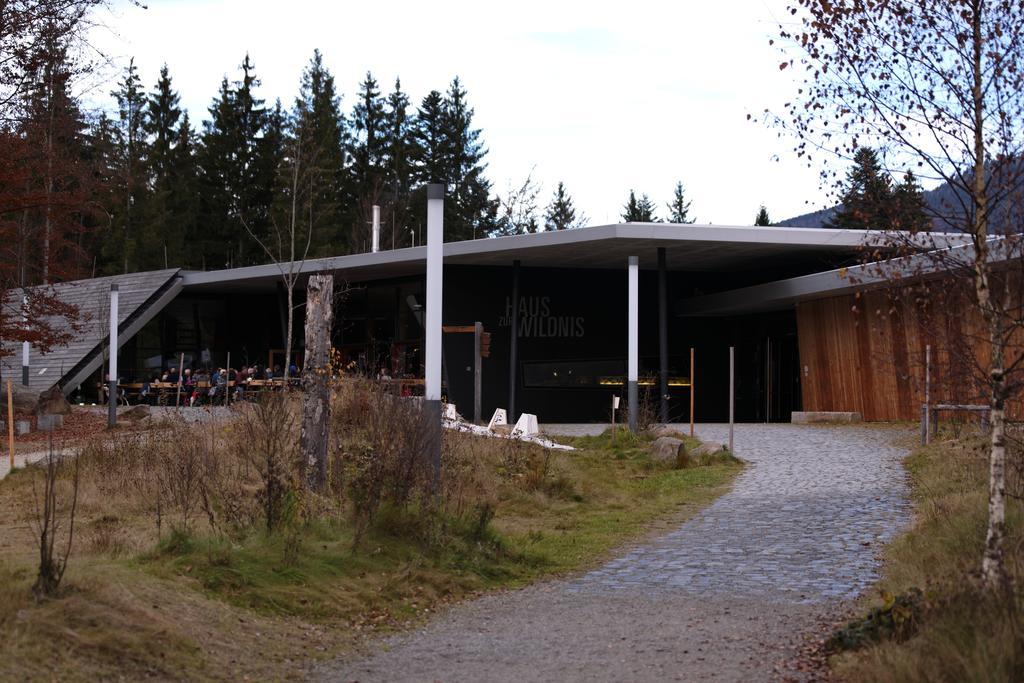Ferienwohnung Im Landhaus Am Nationalpark Ludwigsthal Exterior foto