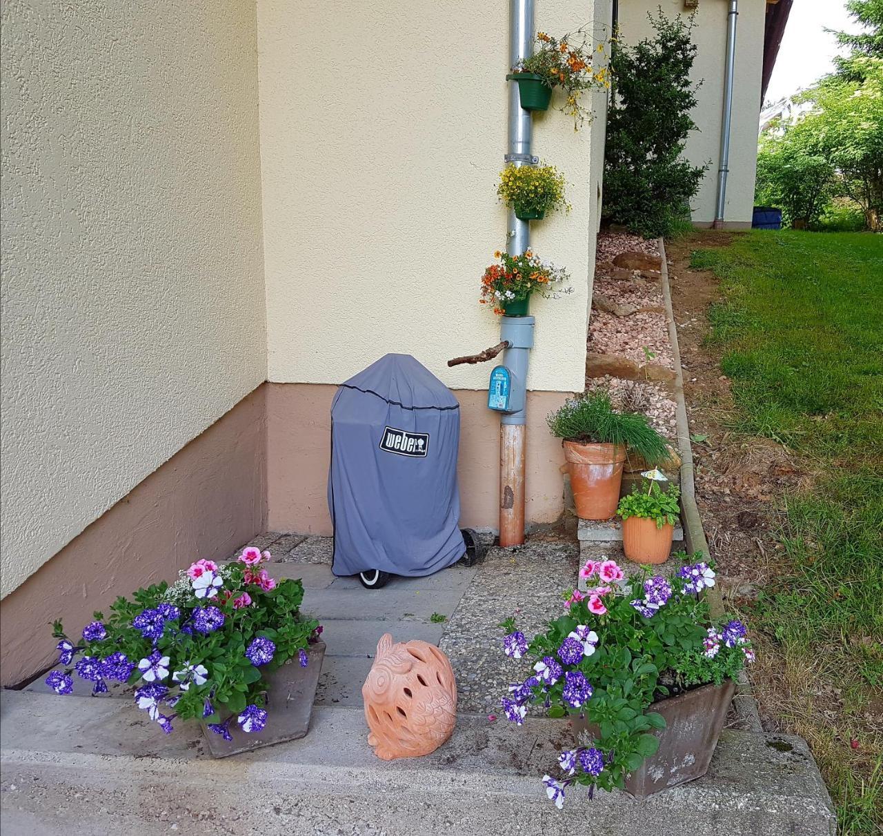 Ferienwohnung Im Landhaus Am Nationalpark Ludwigsthal Exterior foto